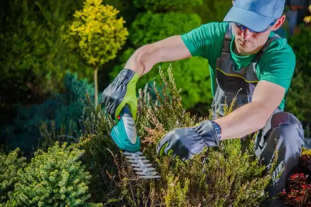landscaping services Grosse Pointe Park
